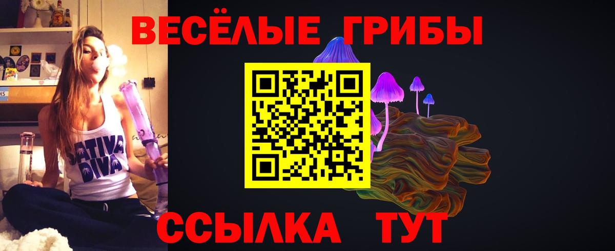 Псилоцибиновые грибы Magic Shrooms Кинешма